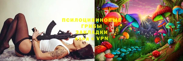 прущие грибы Волоколамск